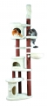 Acana Sport+Agility Dog 18 kg